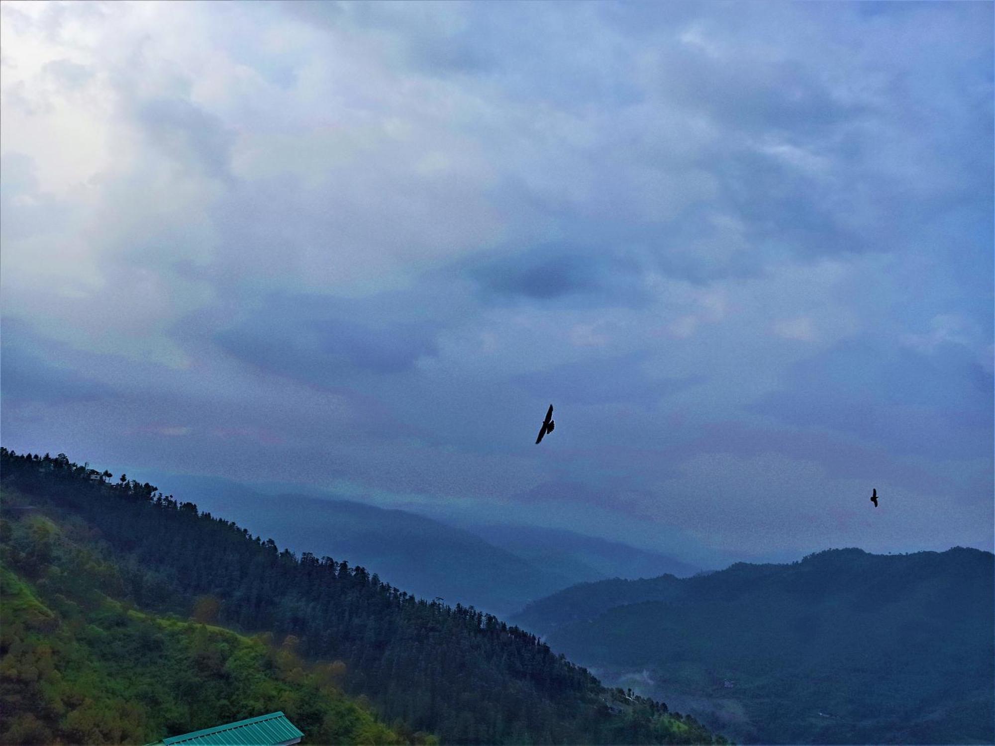 Mountain And Peace Apartment Shimla Ngoại thất bức ảnh